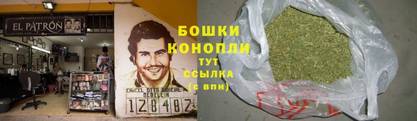 ПСИЛОЦИБИНОВЫЕ ГРИБЫ Нягань