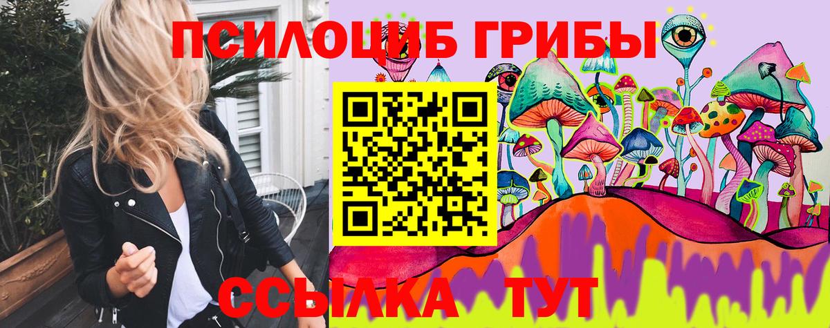 Псилоцибиновые грибы Psilocybe Тулун