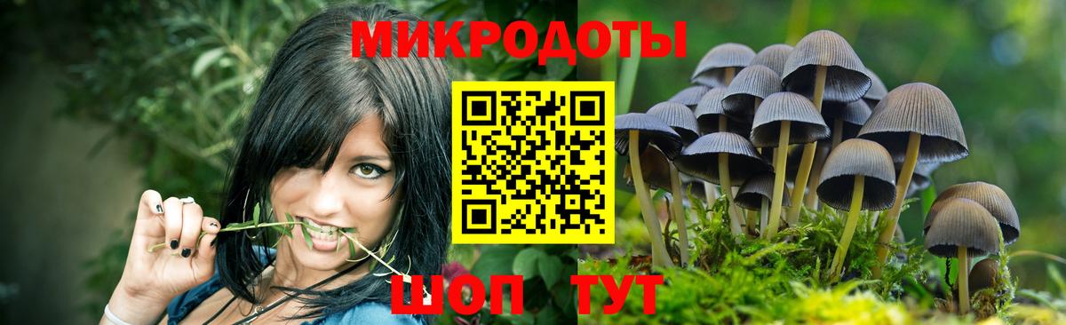 Тулун  Псилоцибиновые грибы ЛСД  Галлюциногенные грибы GOLDEN TEACHER  Вход с VPN 